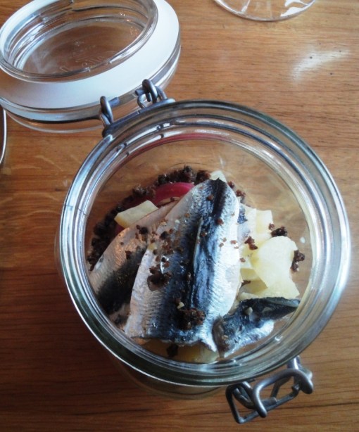 Baltic herring