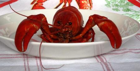 Crayfish - reijosfood.com