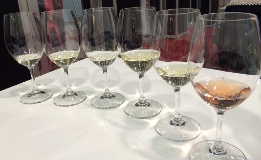 Champagne at Viini Expo - reijosfood.com
