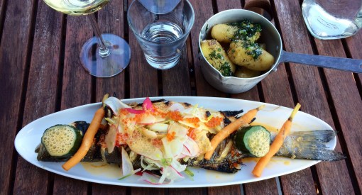 Fish of the Day at Faro - reijosfood.com