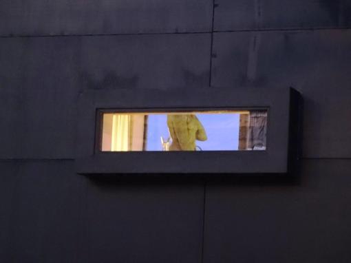 Statue of Havis Amanda - reijosfood.com